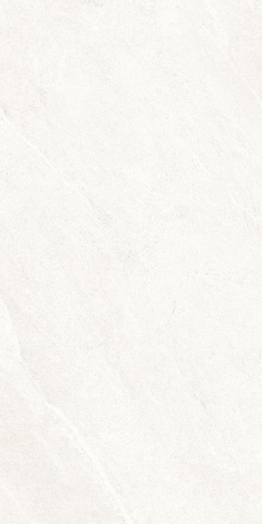 Dhara White Matte 24 x 48
